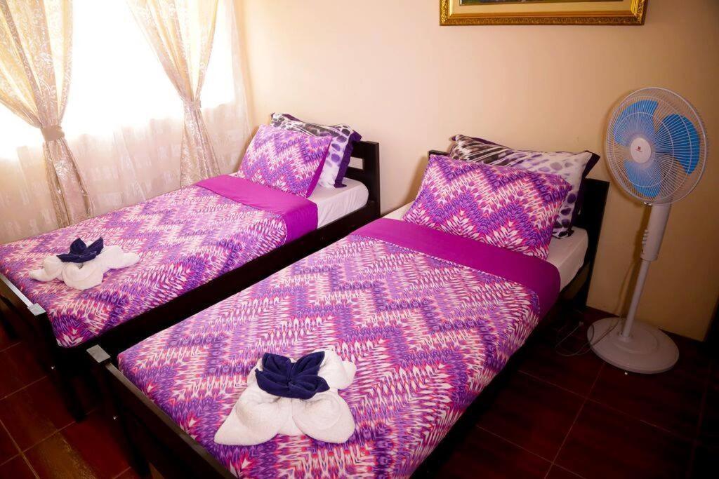 Florabells Iraya Guest House - Batanes Basco Kültér fotó
